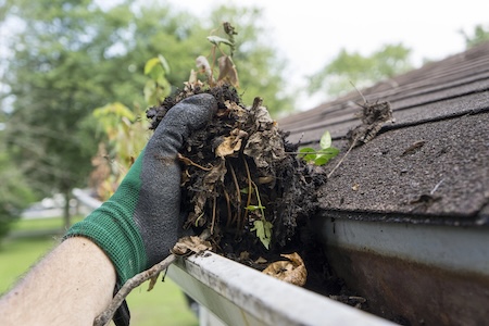 Gutter Cleaning and Basement Protection: How Clogged Gutters Lead to Costly Water Damage